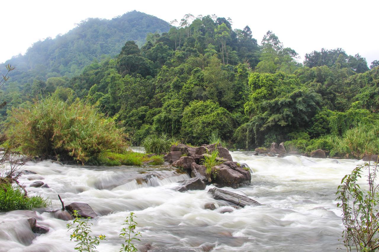 Adventure Base Camp Hotel Kitulgala Buitenkant foto
