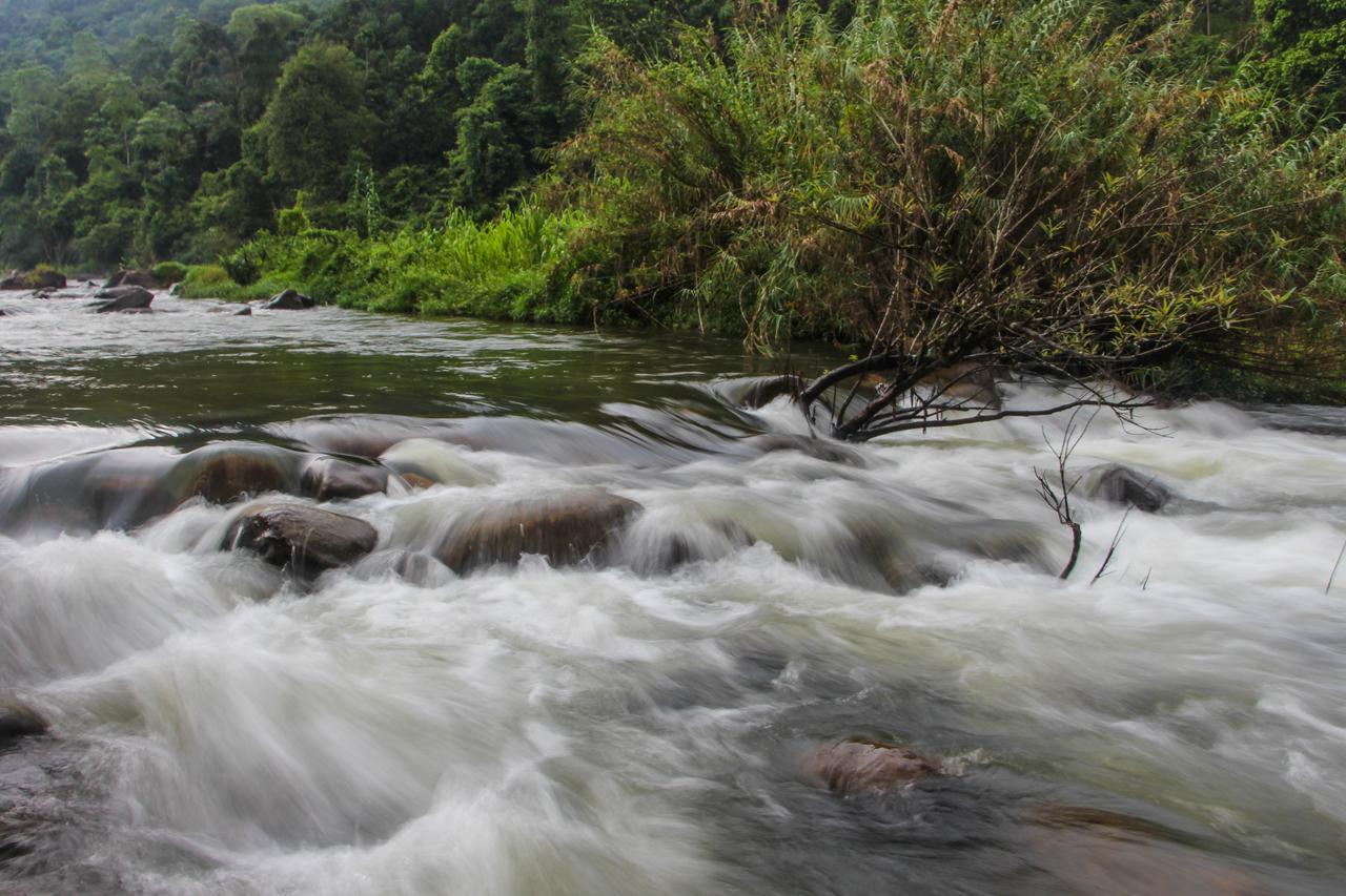 Adventure Base Camp Hotel Kitulgala Buitenkant foto