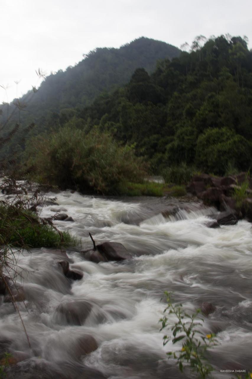 Adventure Base Camp Hotel Kitulgala Buitenkant foto